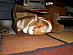 View full size picture