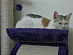View full size picture