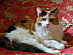 View full size picture