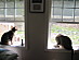 View full size picture