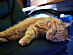 View full size picture
