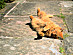 View full size picture