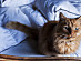 View full size picture
