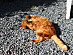 View full size picture
