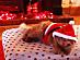 View full size picture