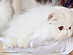 View full size picture