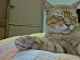 View full size picture