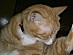 View full size picture