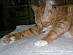 View full size picture