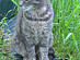 View full size picture