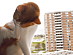 View full size picture
