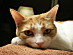 View full size picture