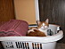 View full size picture