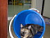 View full size picture
