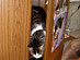View full size picture