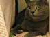 View full size picture