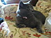 View full size picture
