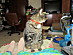 View full size picture