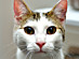 View full size picture