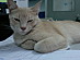 View full size picture