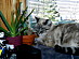 View full size picture