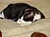 View full size picture