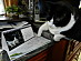 View full size picture
