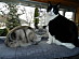 View full size picture