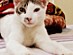 View full size picture