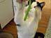 View full size picture