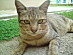 View full size picture