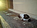 View full size picture