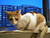 View full size picture