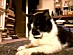View full size picture