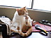View full size picture