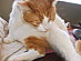 View full size picture