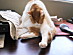 View full size picture