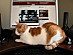 View full size picture