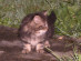 View full size picture