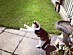 View full size picture