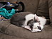 View full size picture