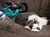 View full size picture