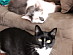 View full size picture