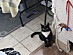 View full size picture