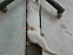 View full size picture
