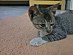 View full size picture