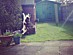 View full size picture