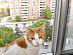 View full size picture