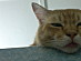 View full size picture