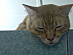 View full size picture